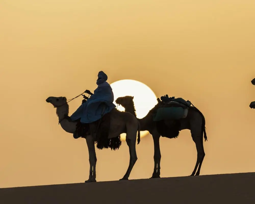 Discover the Sahara on Morocco Desert Tours from Marrakech Morocco desert tours from Marrakech including camel rides and tents
