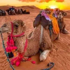 3 Days Marrakech Desert Tour to Merzouga Desert landscape