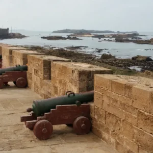 Day trip from Marrakech to Essaouira