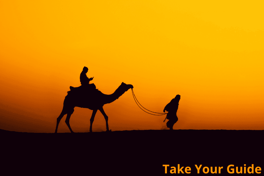Marrakech Sunset Camel Ride in the Palm Grove with palm trees and golden sky