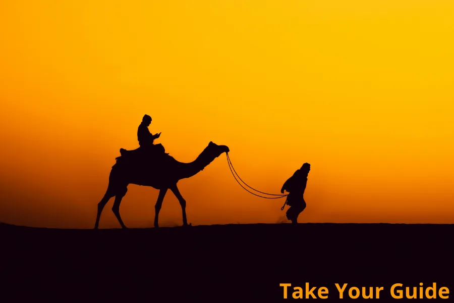 Marrakech Sunset Camel Ride in the Palm Grove with palm trees and golden sky